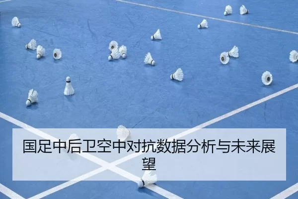 国足中后卫空中对抗数据分析与未来展望