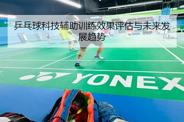 乒乓球科技辅助训练效果评估与未来发展趋势